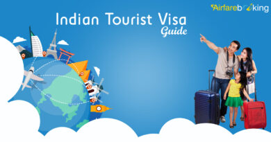 Indian Tourist Visa Guide for Canadian Flyers