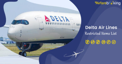 Delta-Air-Lines-Restricted-Items