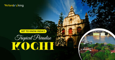 Get to Know India’s Tropical Paradise Kochi