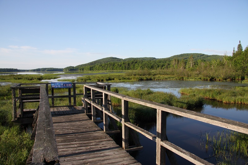 Marais du Nord