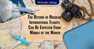 The Return of Regular International Flights Can Be Expected From Middle of the March