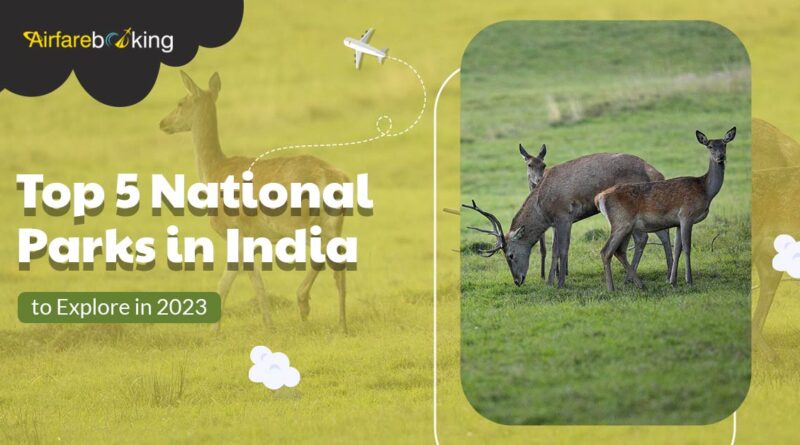 Top 5 National Parks in India to Explore in 2023