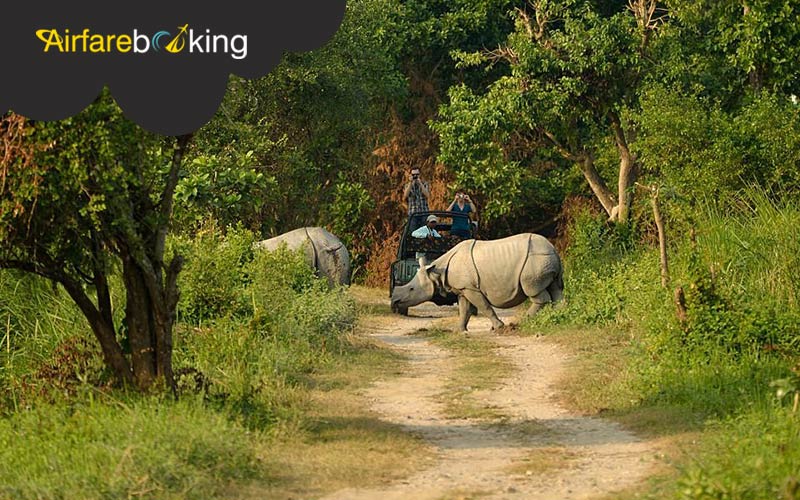 Kaziranga-National-Park,-Assam