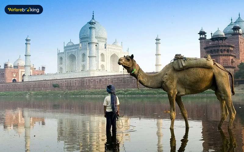 Which is the Most Suitable Time of Year to Visit India