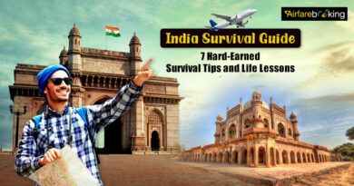 India Survival Guide 7 Hard-Earned Survival Tips and Life Lessons