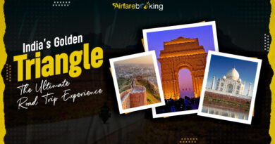 India's Golden Triangle The Ultimate Road Trip Experience