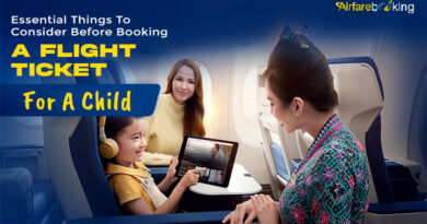 Essential Things To Consider Before Booking A Flight Ticket For A Child