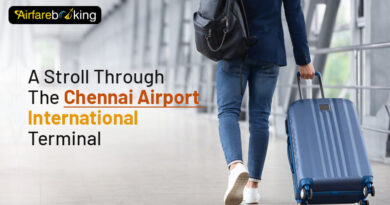 A Stroll Through The Chennai Airport International Terminal