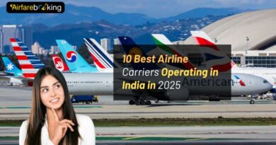 10 Best Airline Carriers Operating in India in 2025