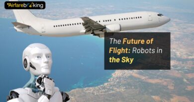 The Future of Flight: Robots in the Sky