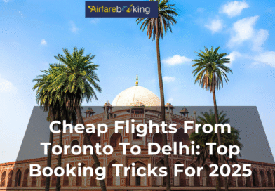 Cheap Flights From Toronto To Delhi: Top Booking Tricks For 2025