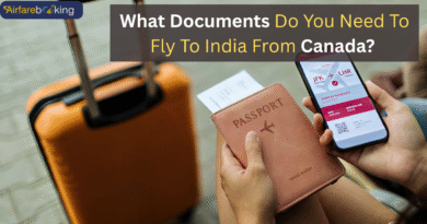 What Documents Do You Need To Fly To India From Canada