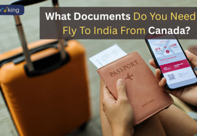 What Documents Do You Need To Fly To India From Canada